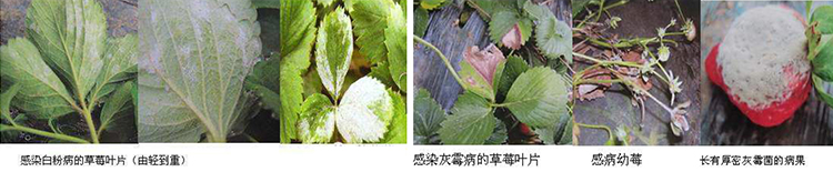未標(biāo)題-2.jpg